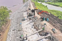 Gia cố bờ kè đê biển Tây (Cà Mau). Ảnh: NSNA Nguyễn Thanh Dũng