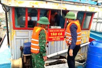 Lực lượng chức năng tỉnh Quảng Trị niêm phong, đóng bảng thông báo tàu cá không đủ điều kiện hoạt động.