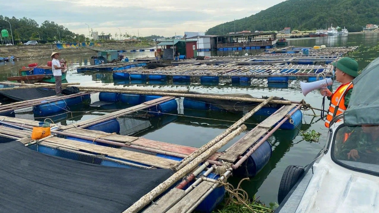 Đồn Biên phòng cửa khẩu cảng Cửa Lò-Bến Thủy tổ chức tuần tra, tuyên truyền, hướng dẫn các hộ có lồng bè nuôi thủy sản thực hiện các biện pháp ứng phó nhằm giảm thiểu thiệt hại do cơn bão số 3 gây ra. bo-doi-bien-phongchong-baonghe-anhoang-lam-3-edited-1753083875680-9858.png