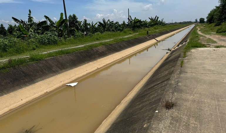 Việc vứt xác lợn trên kênh, mương thủy lợi sẽ gia tăng nguy cơ bùng phát dịch bệnh do lây lan theo dòng nước. z6809458335887-f4edc8e75182c82b07577a5493ed1791.jpg