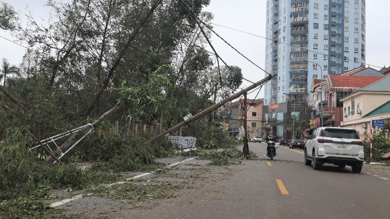 Cây xanh, cột điện trên tuyến đường An Dương Vương, phường Trường Vinh, tỉnh Nghệ An bị gãy, đổ. img-8334-2-5844.jpg