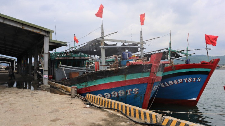 Tàu thuyền tránh trú bão tại Cảng cá Lạch Quèn. img-4474ok-5067.jpg