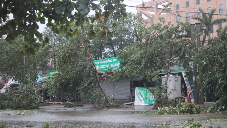 Khu vực ki-ốt dọc ven biển. img-8196-3531-5606.jpg