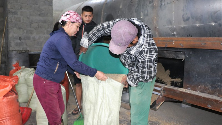Người dân đưa lúa đến sấy tại nhà ông Nam. img-5286-9474.jpg