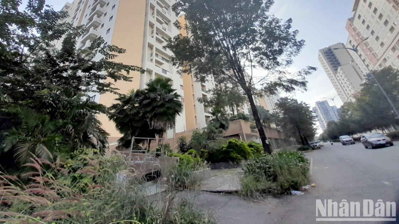 Cây cối mọc um tùm ngay lối vào cổng. Cây cối mọc um tùm ngay lối vào cổng.