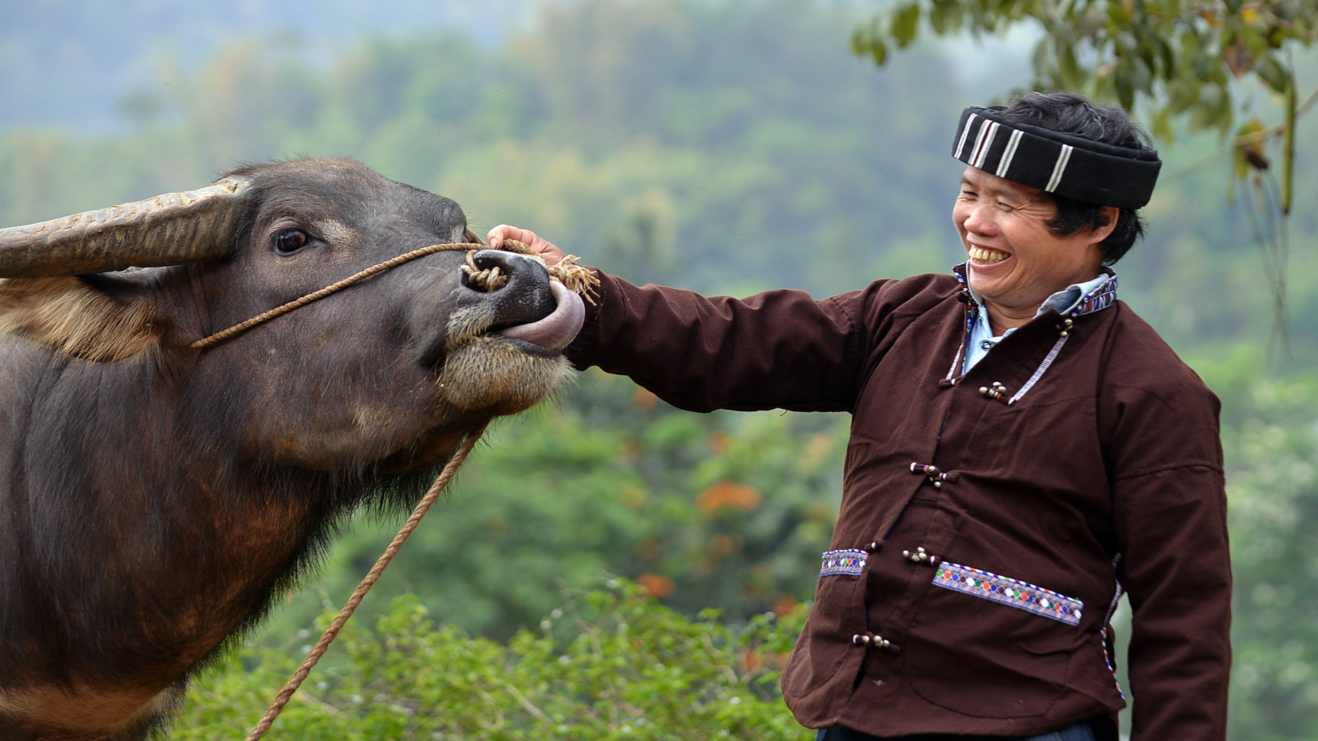 Hạnh phúc của chủ trâu khi được dự nghi lễ. Hạnh phúc của chủ trâu khi được dự nghi lễ.