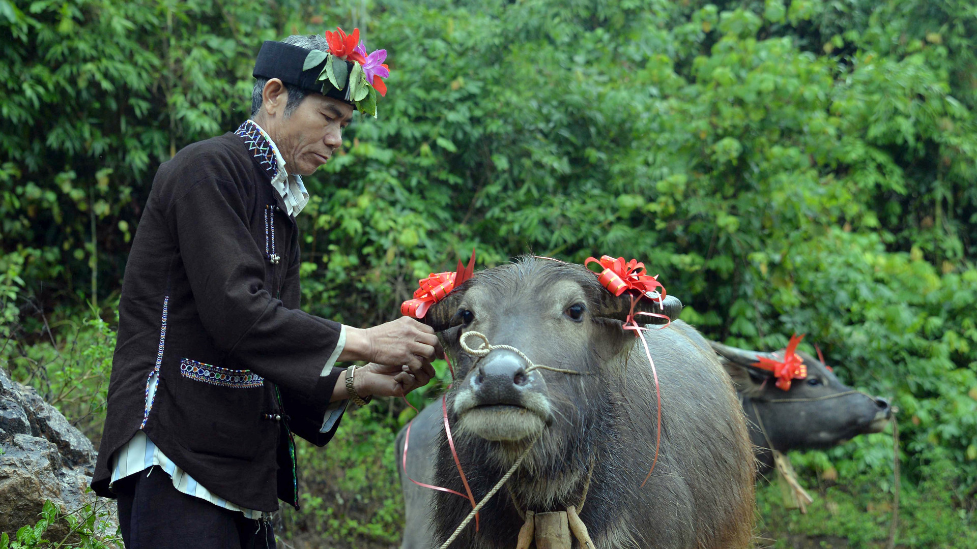 Bà con "trang điểm" cho những chú trâu tham dự nghi lễ. Bà con "trang điểm" cho những chú trâu tham dự nghi lễ.