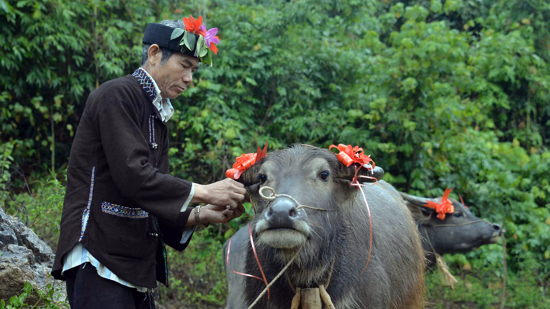 Bà con "trang điểm" cho những chú trâu tham dự nghi lễ. Bà con "trang điểm" cho những chú trâu tham dự nghi lễ.