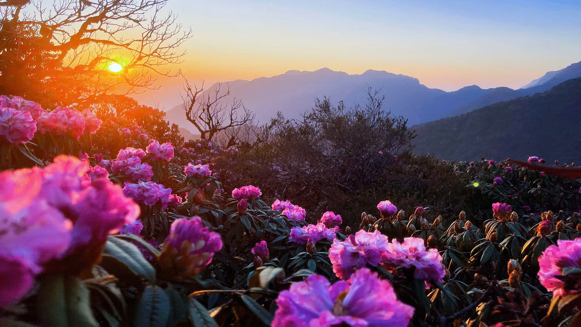 Lai Châu cũng đã tổ chức các giải thể thao leo núi, trong đó có giải chinh phục đỉnh Đỗ Quyên với mong muốn biến nó thành sản phẩm du lịch thế mạnh của tỉnh.