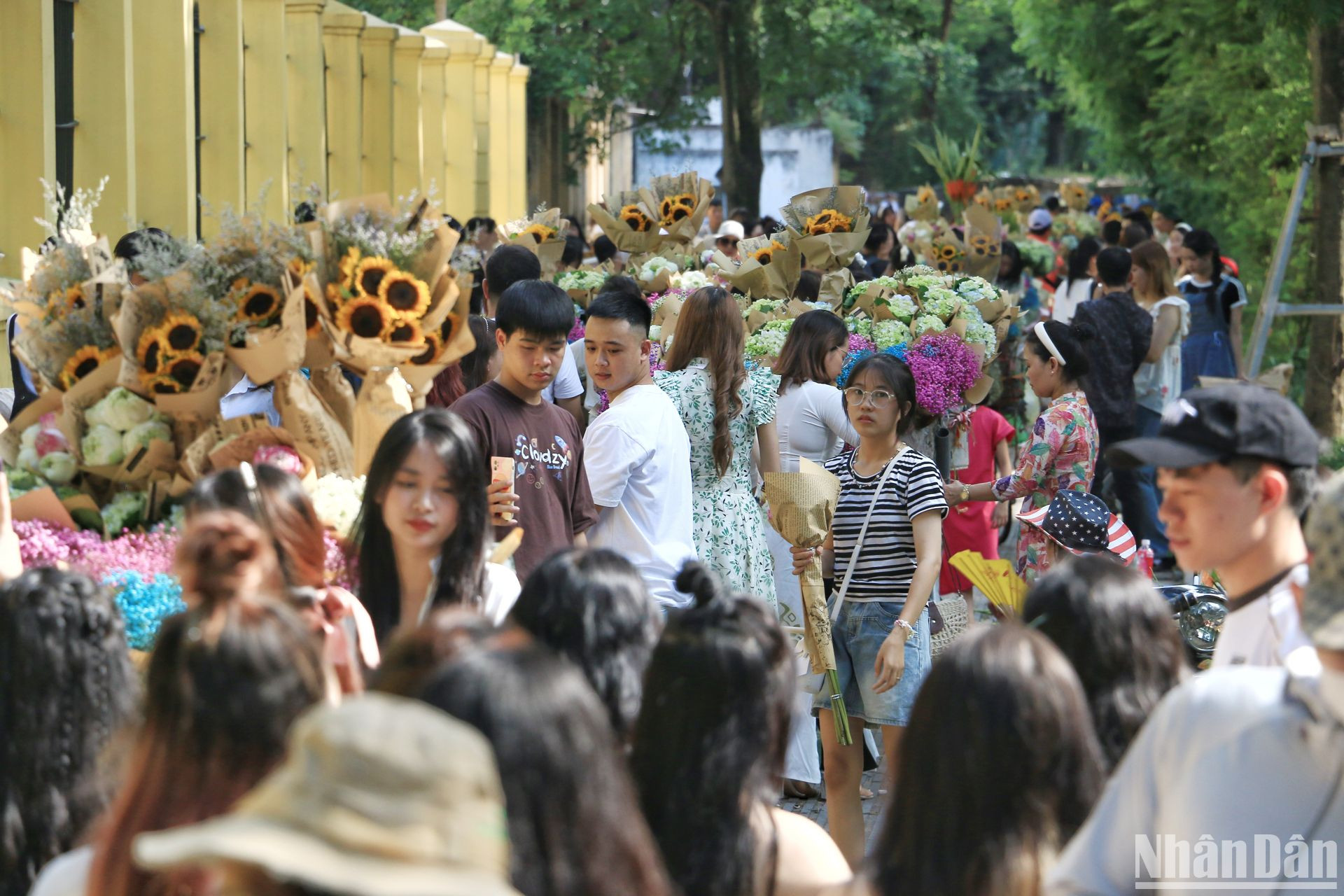 Bên cạnh đó, rất đông bạn trẻ lại lựa chọn phố Phan Đình Phùng để vui chơi, chụp ảnh dưới ánh nắng rực rỡ của mùa thu. Bên cạnh đó, rất đông bạn trẻ lại lựa chọn phố Phan Đình Phùng để vui chơi, chụp ảnh dưới ánh nắng rực rỡ của mùa thu.