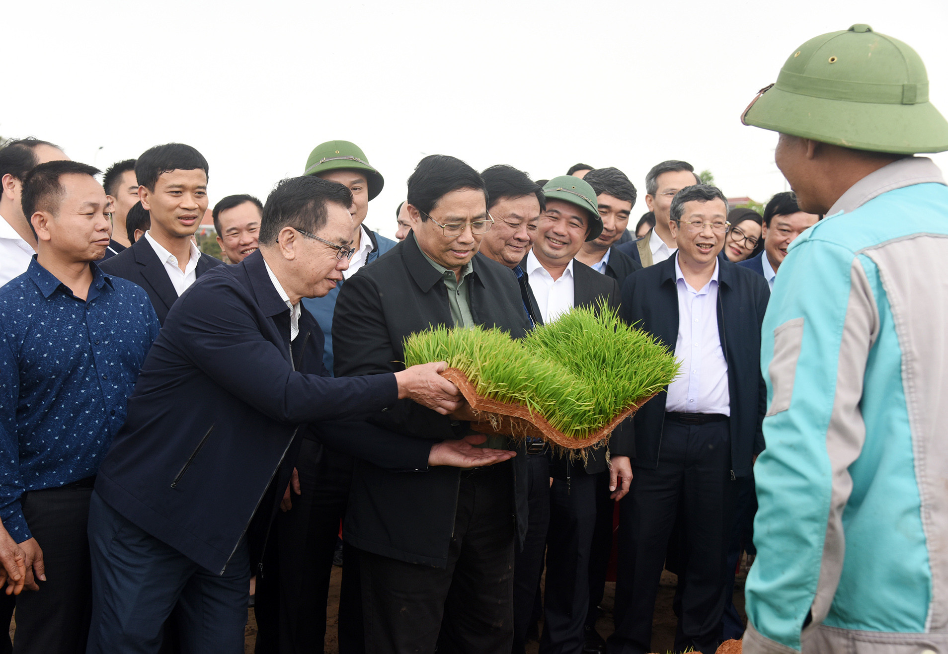 Thủ tướng thăm khu vực sản xuất mạ khay và cánh đồng gieo sạ bằng máy. Thủ tướng thăm khu vực sản xuất mạ khay và cánh đồng gieo sạ bằng máy.