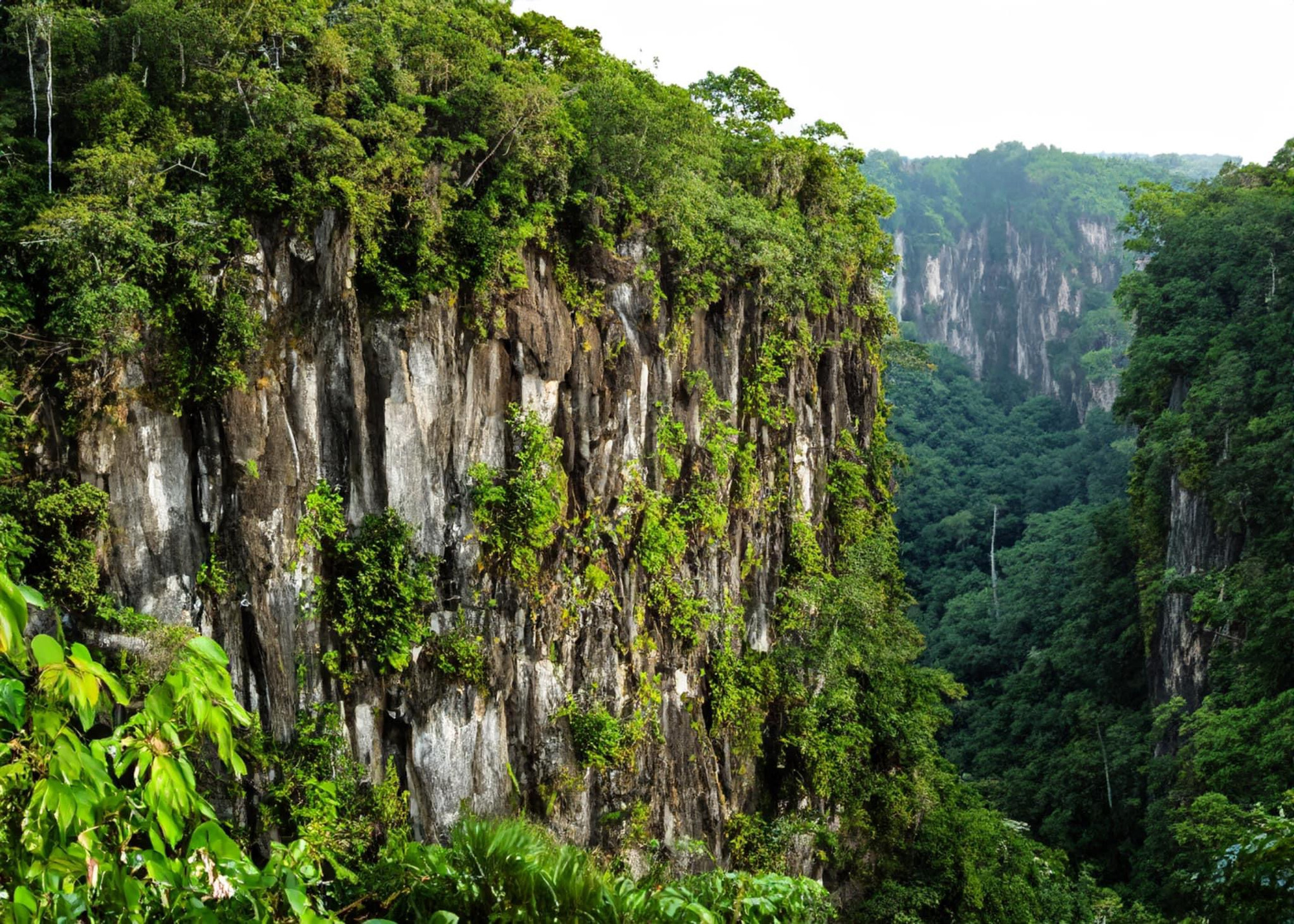 [Ảnh] Tour đêm mới lạ tại Vườn quốc gia Cúc Phương