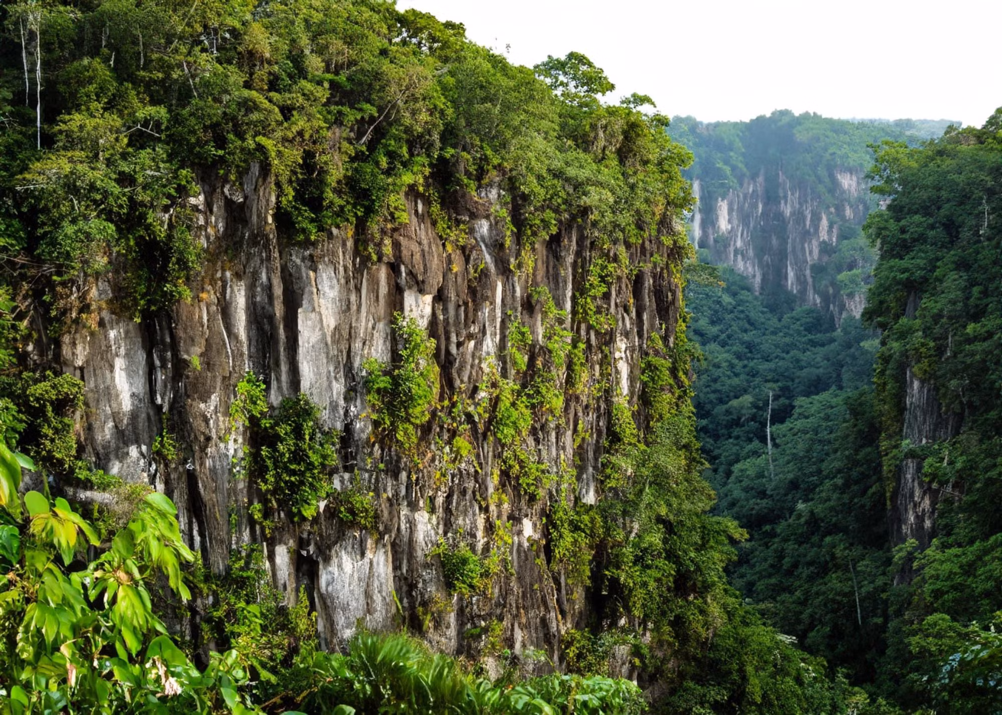 [Ảnh] Tour đêm mới lạ tại Vườn quốc gia Cúc Phương