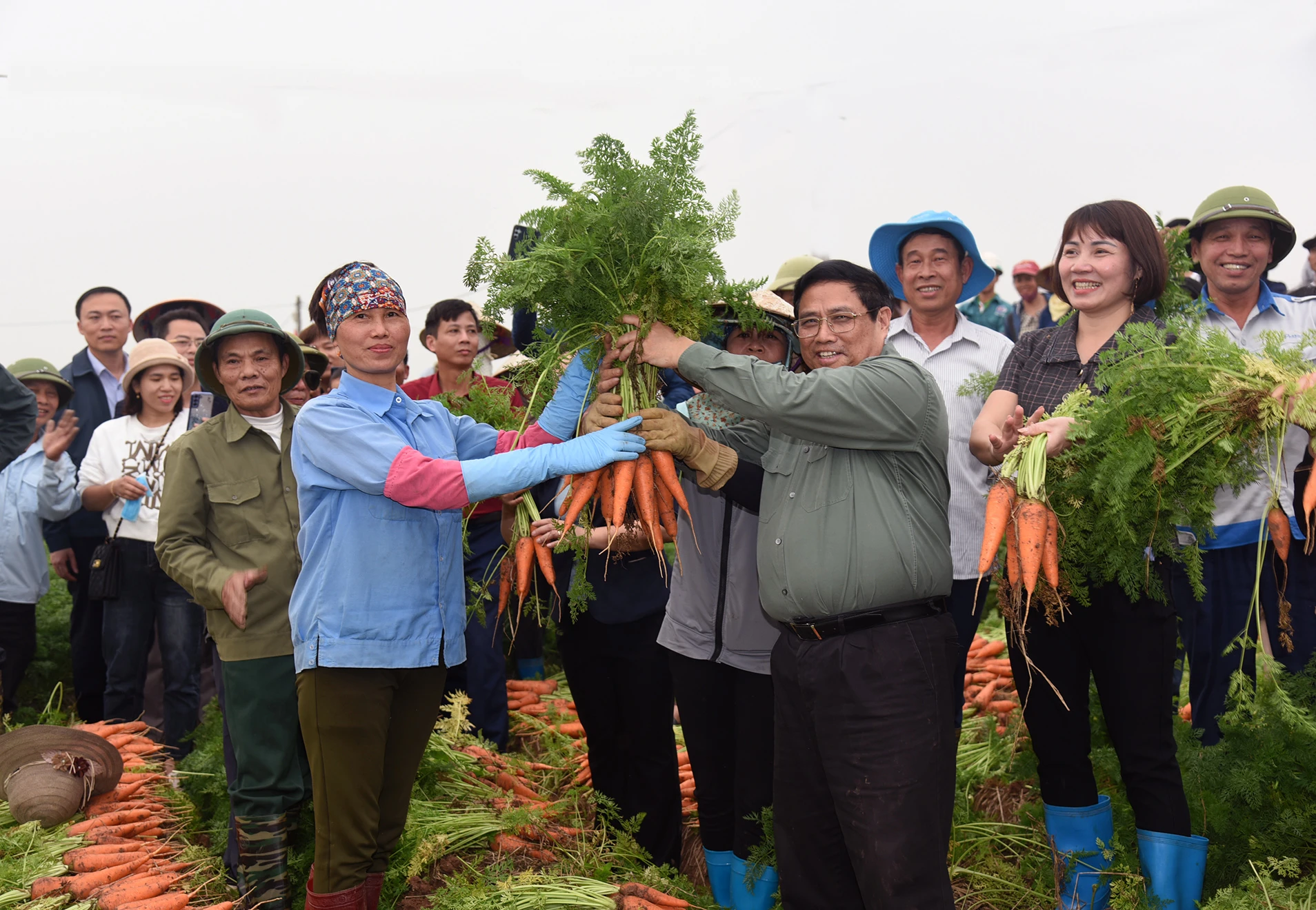 Thủ tướng Phạm Minh Chính thu hoạch cà rốt cùng nông dân xã Đức Chính, huyện Cẩm Giàng.