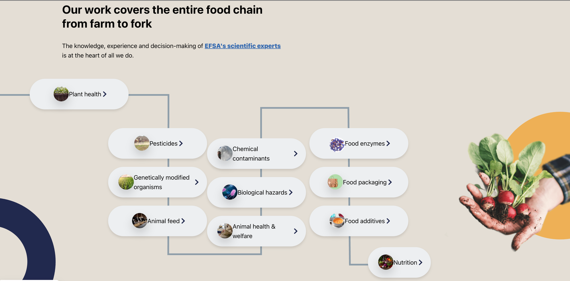 "Trách nhiệm của chúng tôi bao trùm từ đồng ruộng tới bàn ăn", đây là tuyên bố của EFSA. (Ảnh: EFSA)