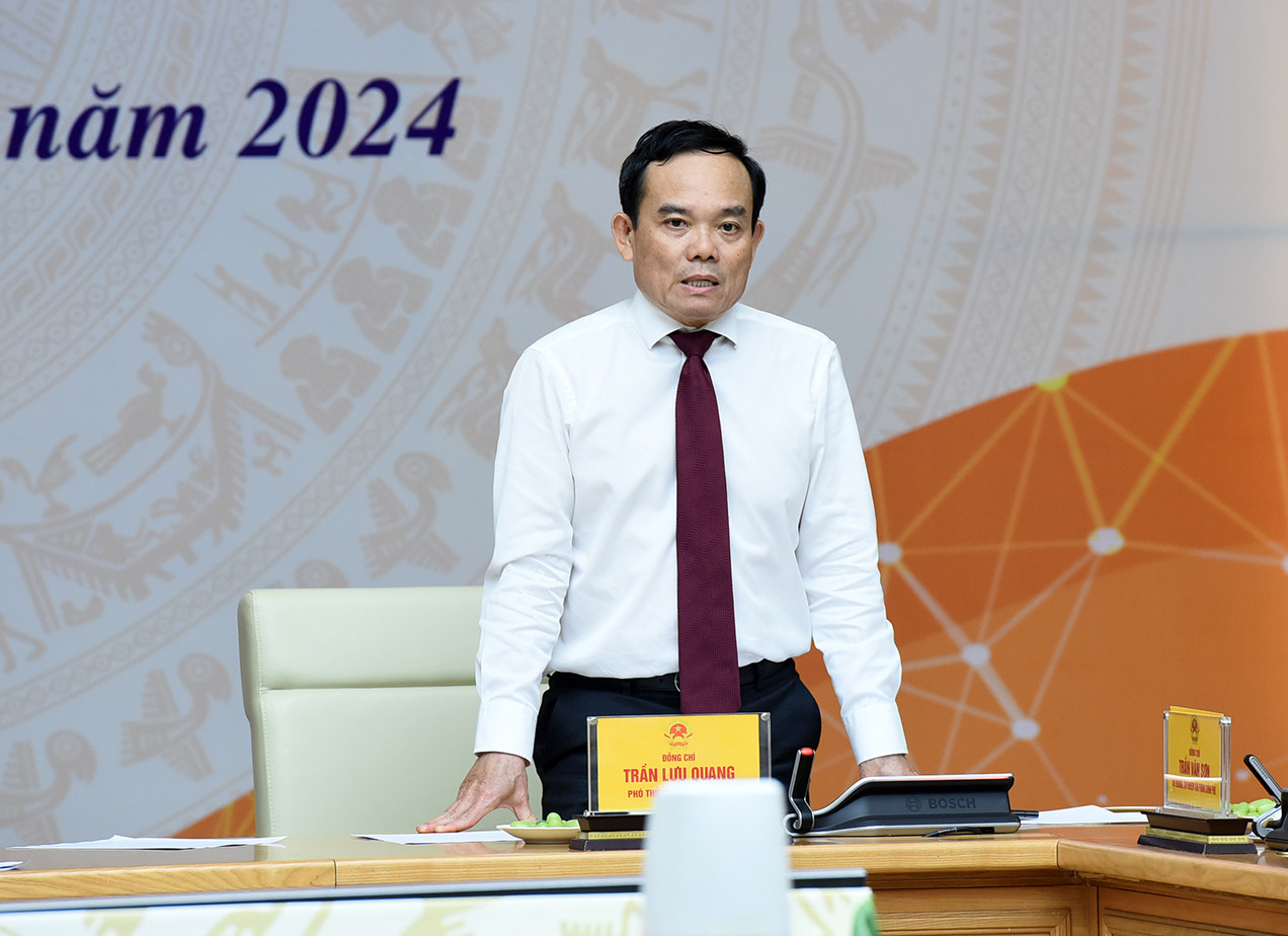 Phó Thủ tướng Trần Lưu Quang phát biểu tại hội nghị.