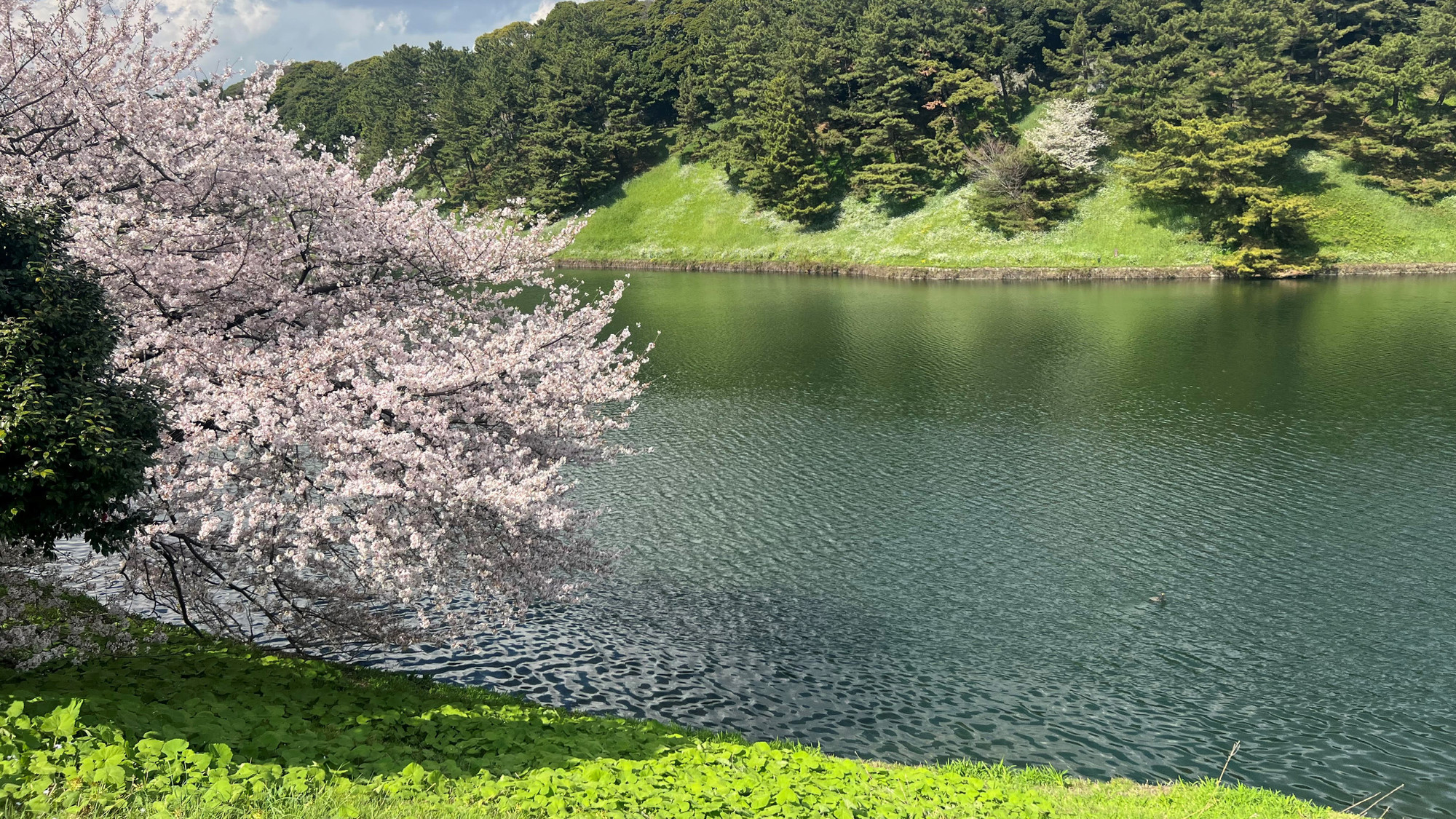 Những khung cảnh lảnh lãng mạn như trong nhiều bộ phim.