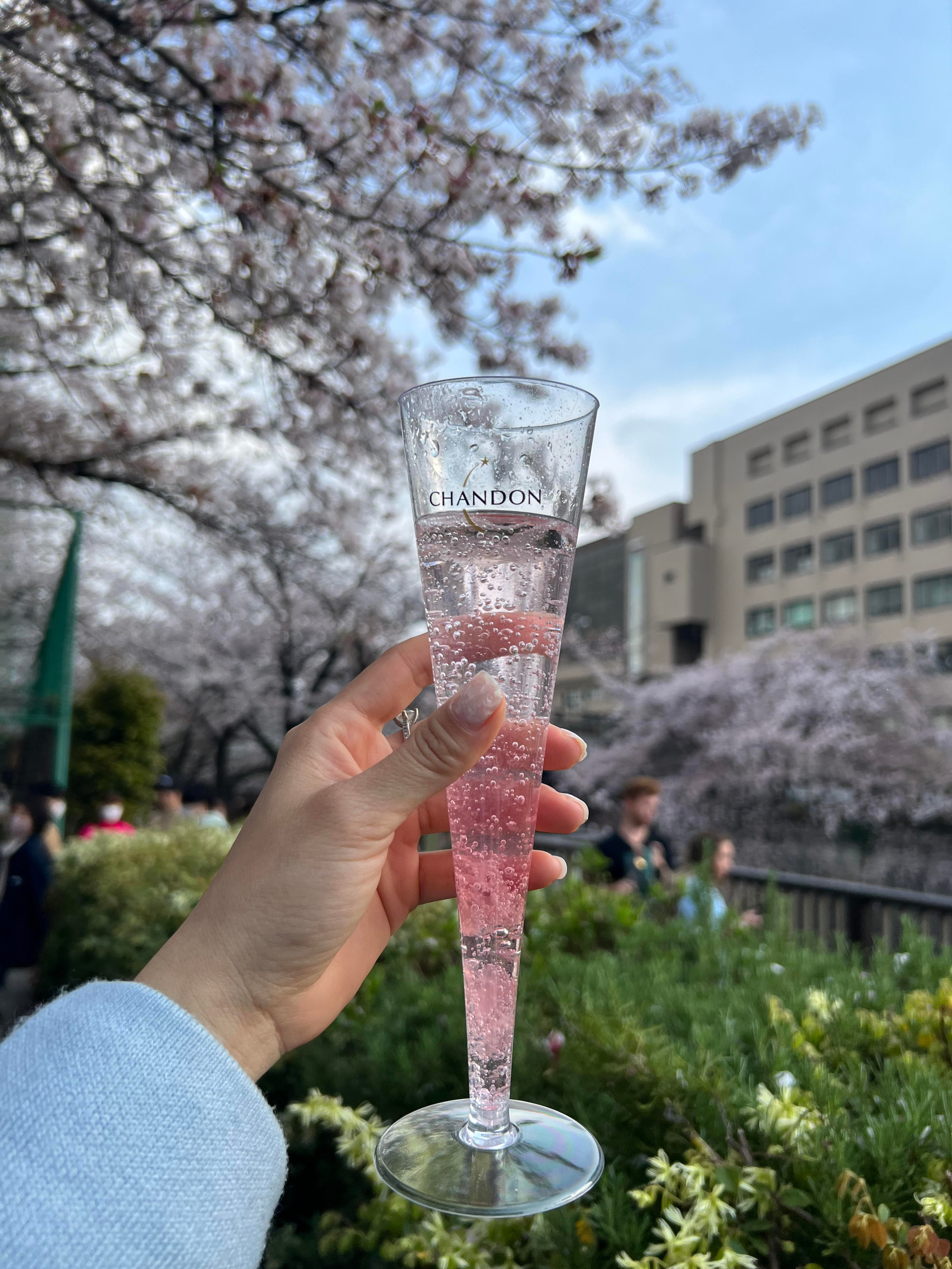 Họ tận hưởng rượu vang trong khung cảnh vô cùng lãng mạn.