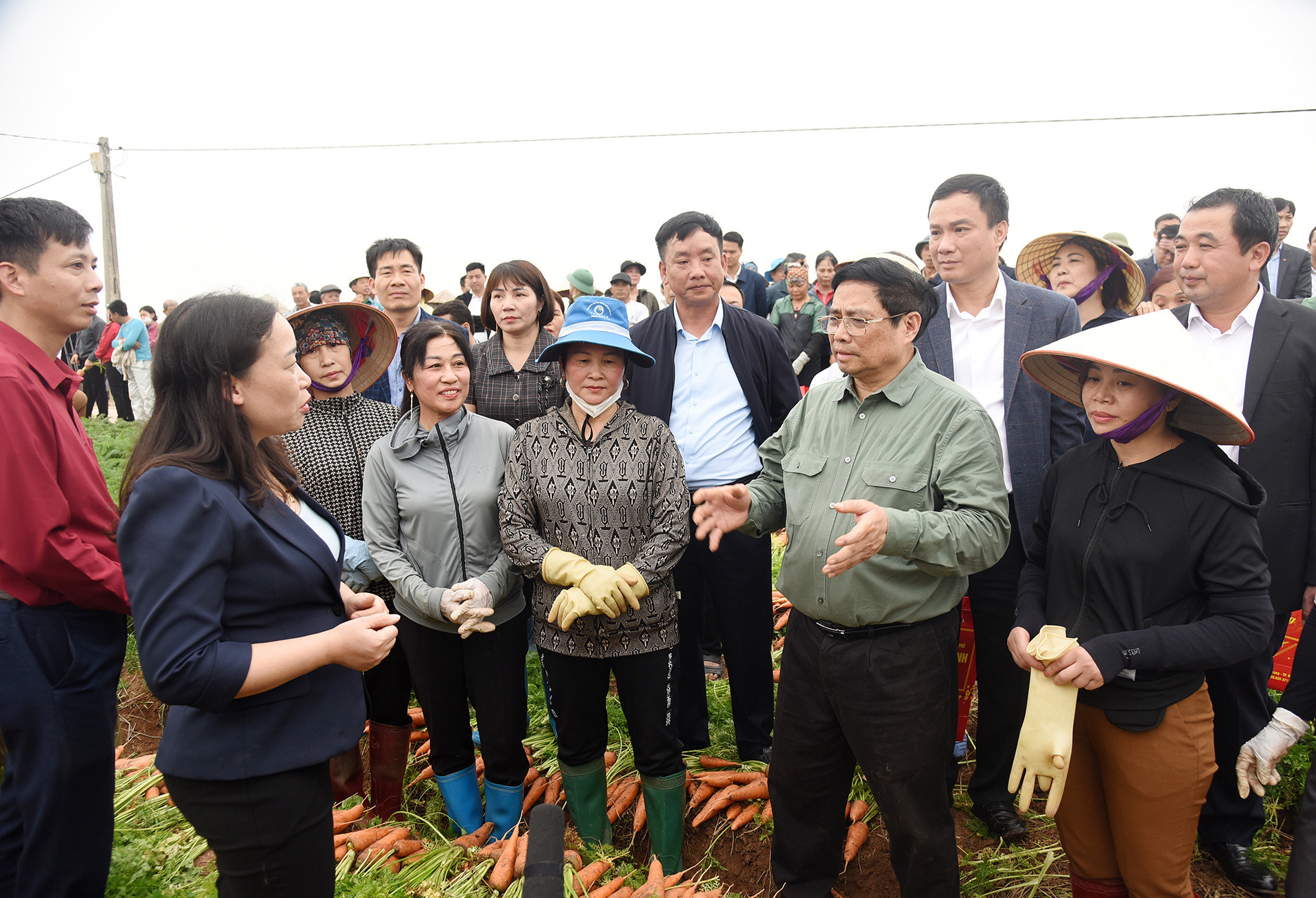 Thủ tướng nói chuyện, động viên bà con nông dân ngay trên ruộng cà rốt vừa thu hoạch. Thủ tướng nói chuyện, động viên bà con nông dân ngay trên ruộng cà rốt vừa thu hoạch.