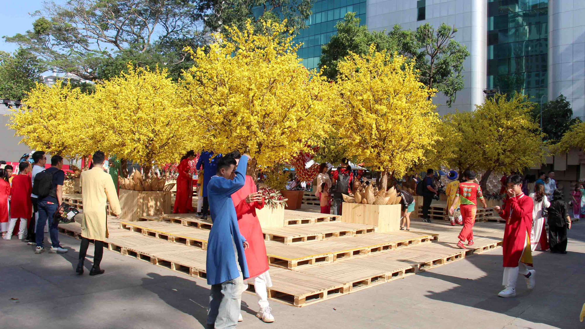 Ngày 24/1, hàng trăm cành mai vàng rực rỡ cao hơn 2m đã được trang trí bên trong khuôn viên và dọc tuyến đường Phạm Ngọc Thạch (quận 1, Thành phố Hồ Chí Minh). Đây là nét đặc trưng trong chuỗi hoạt động Lễ hội Tết Việt Giáp Thìn 2024 tại Nhà văn hóa Thanh niên, được duy trì suốt gần 17 năm qua.
