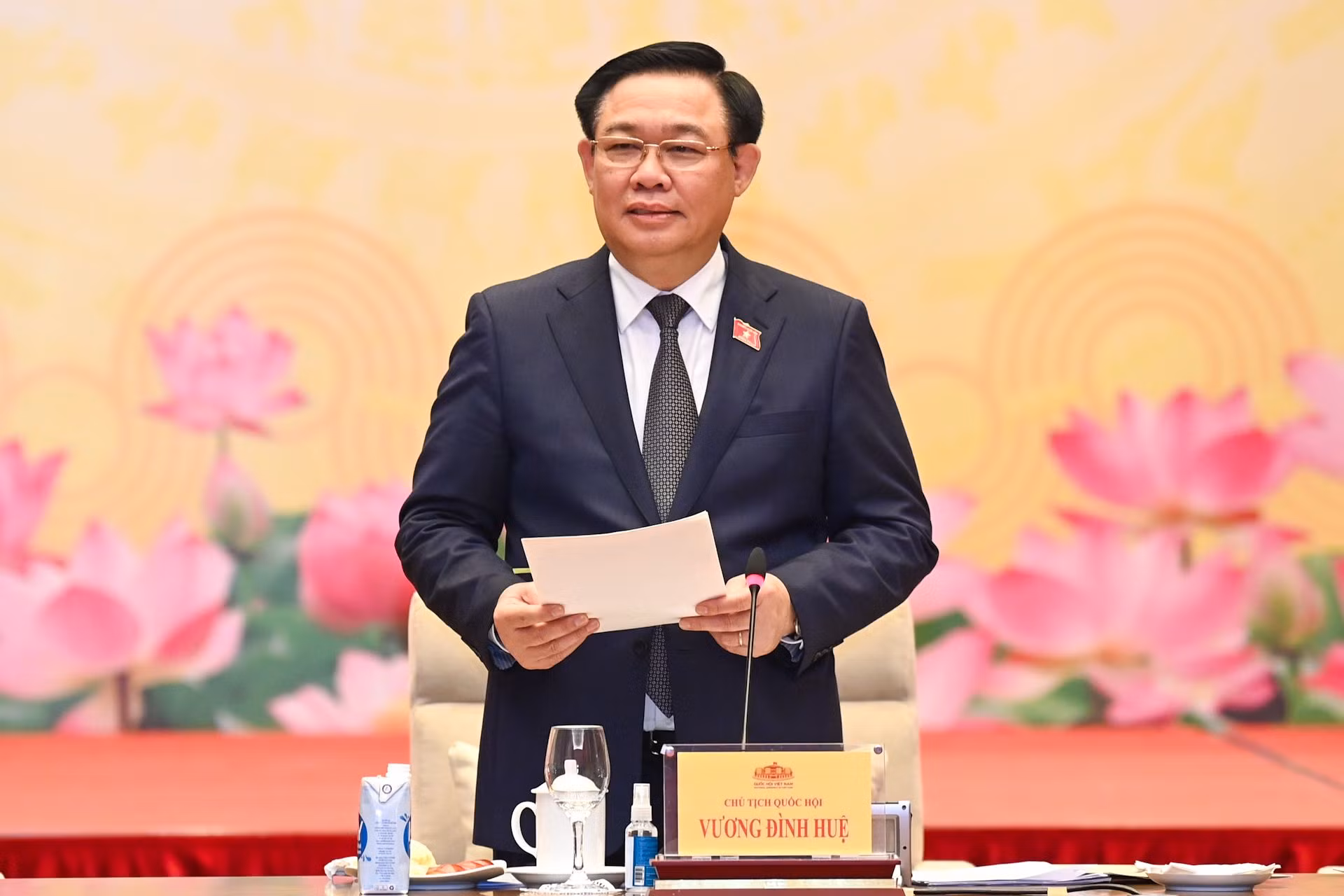 Chủ tịch Quốc hội Vương Đình Huệ phát biểu tại buổi gặp mặt.