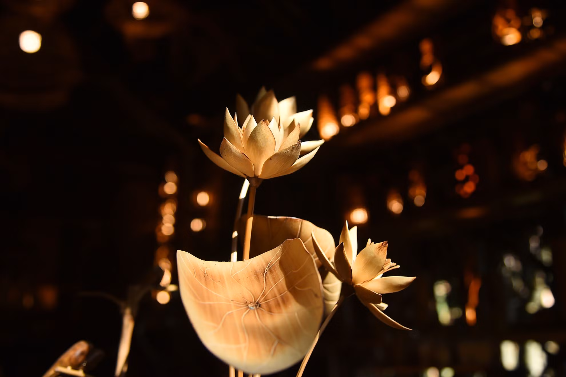 Xưởng tre Taboo không chỉ được biết đến là xưởng sản xuất đồ lưu niệm, thủ công mỹ nghệ và vật dụng gia đình bằng tre, mà còn là một trong những điểm tham quan thu hút khách du lịch. Ở đây có rất nhiều sản phẩm thú vị được làm thủ công bằng tre.