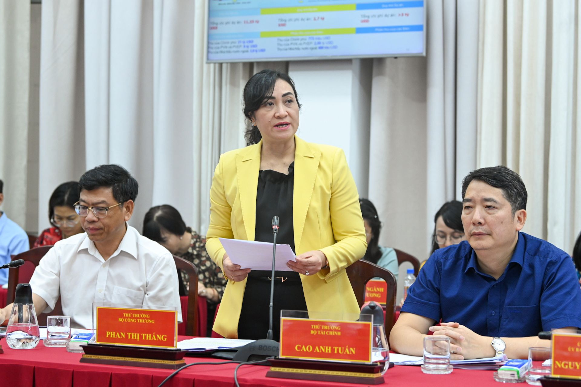 Thứ trưởng Bộ Công thương Phan Thị Thắng phát biểu ý kiến tại buổi làm việc.