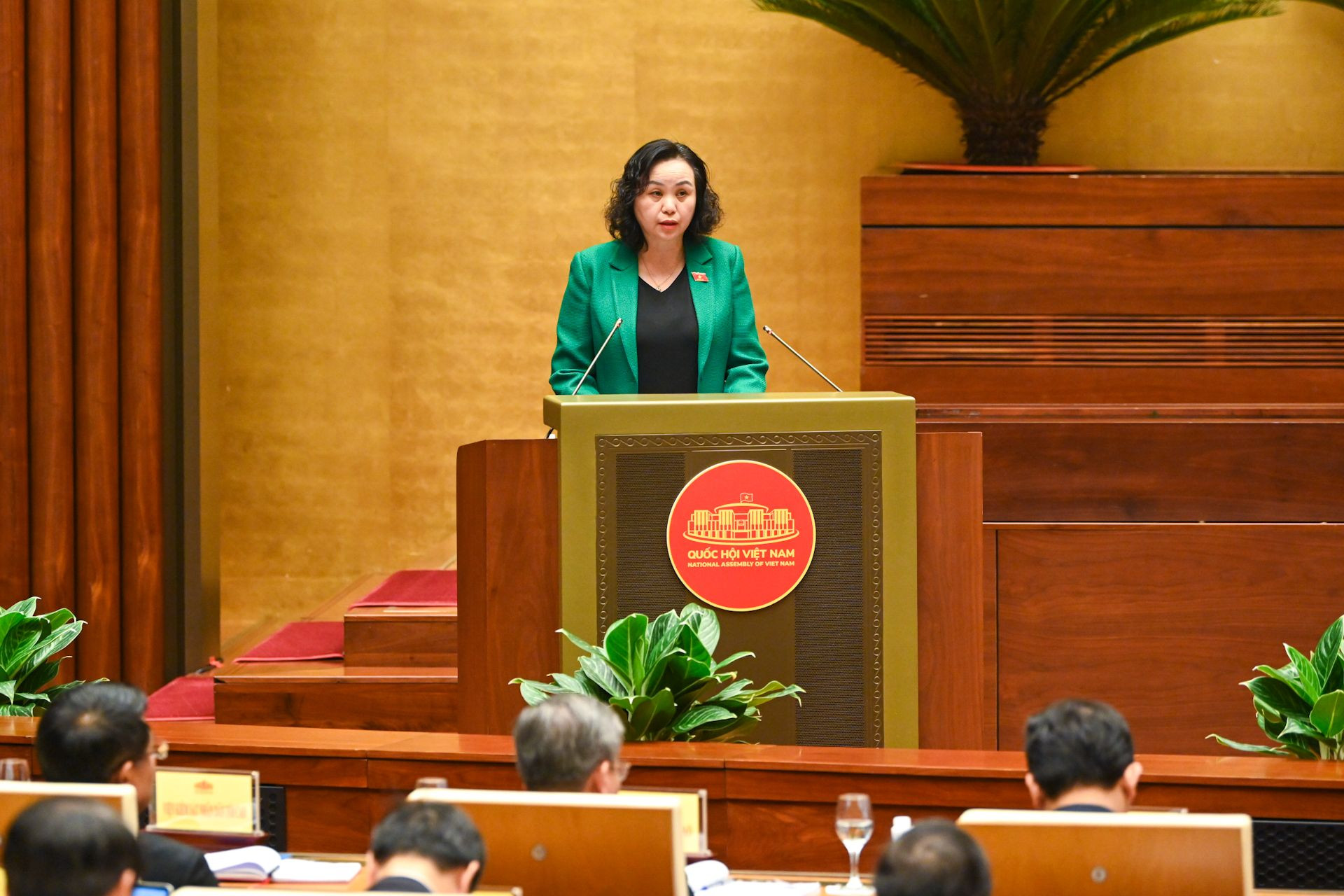 Phó Chủ tịch Hội đồng Dân tộc của Quốc hội Cao Thị Xuân trình bày tham luận công tác chuẩn bị sửa đổi, bổ sung Luật Hoạt động giám sát của Quốc hội và Hội đồng nhân dân năm 2015 và đề xuất, kiến nghị giải pháp trong công tác phối hợp để xây dựng dự án Luật trình Quốc hội theo kế hoạch.