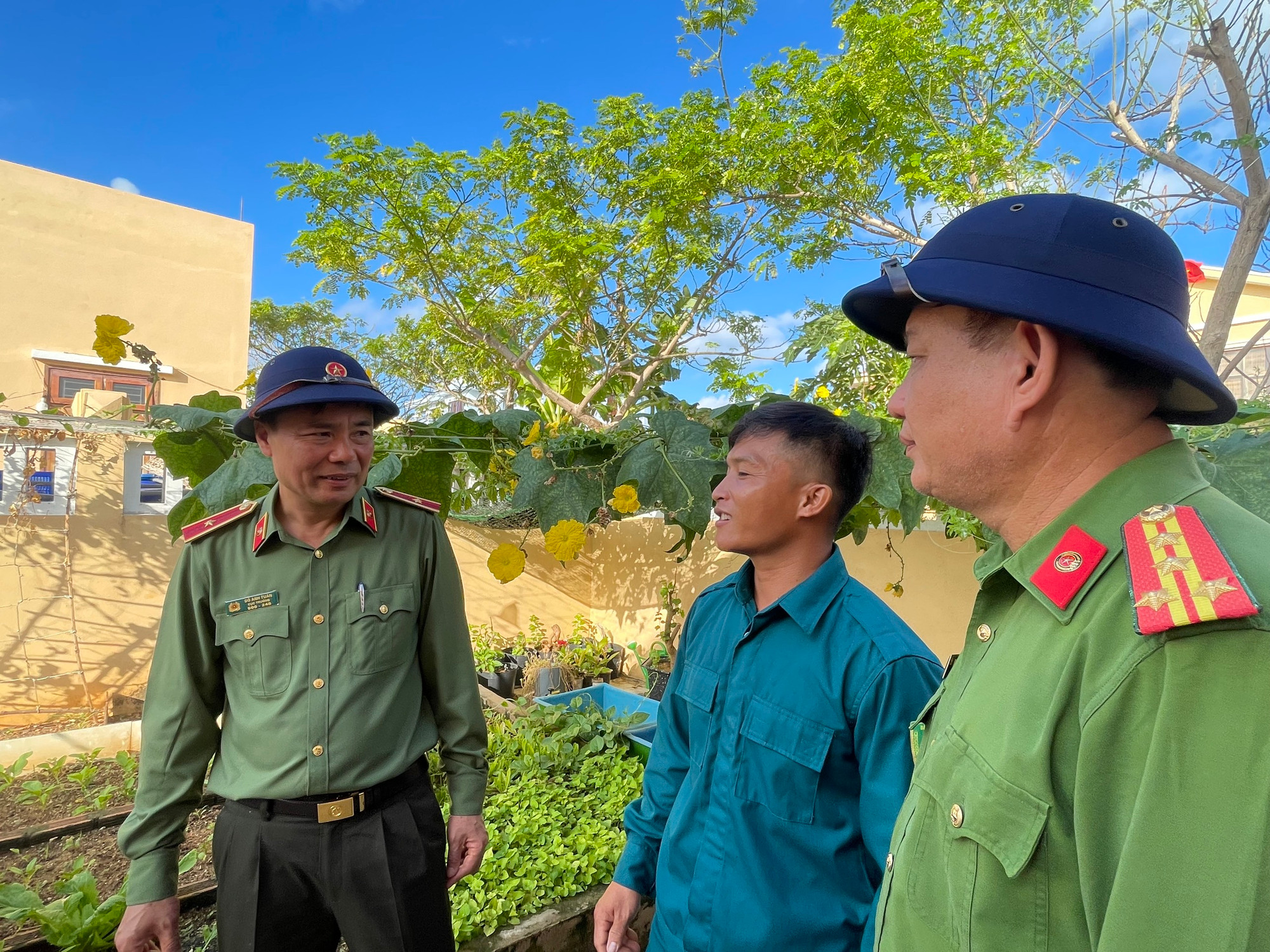 Vườn cây rau xanh mướt do chính người dân tại đảo trồng trọt. Vườn cây rau xanh mướt do chính người dân tại đảo trồng trọt.