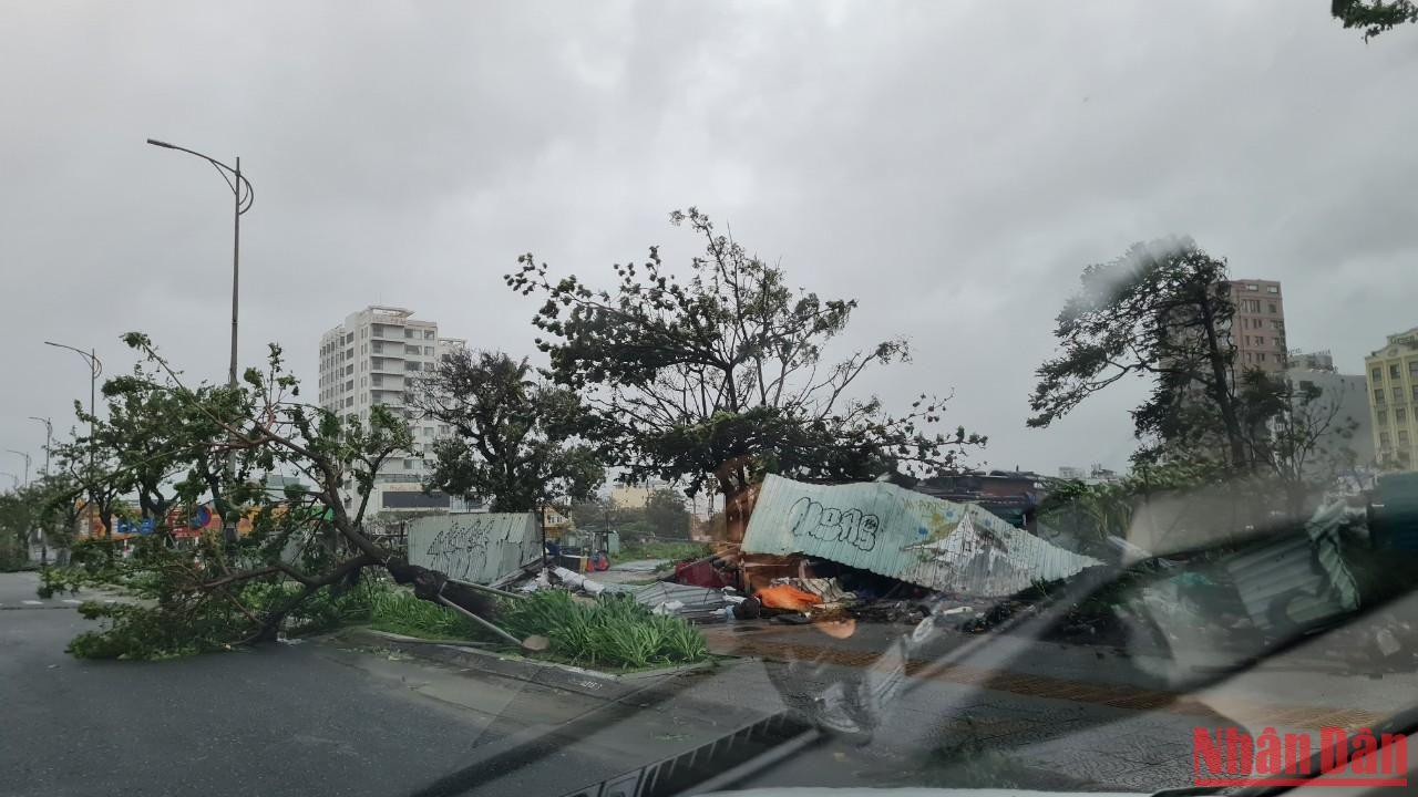 Cây xanh ngã đổ trên nhiều tuyến đường tại Đà Nẵng. (Ảnh: THANH TÙNG) Cây xanh ngã đổ trên nhiều tuyến đường tại Đà Nẵng. (Ảnh: THANH TÙNG)