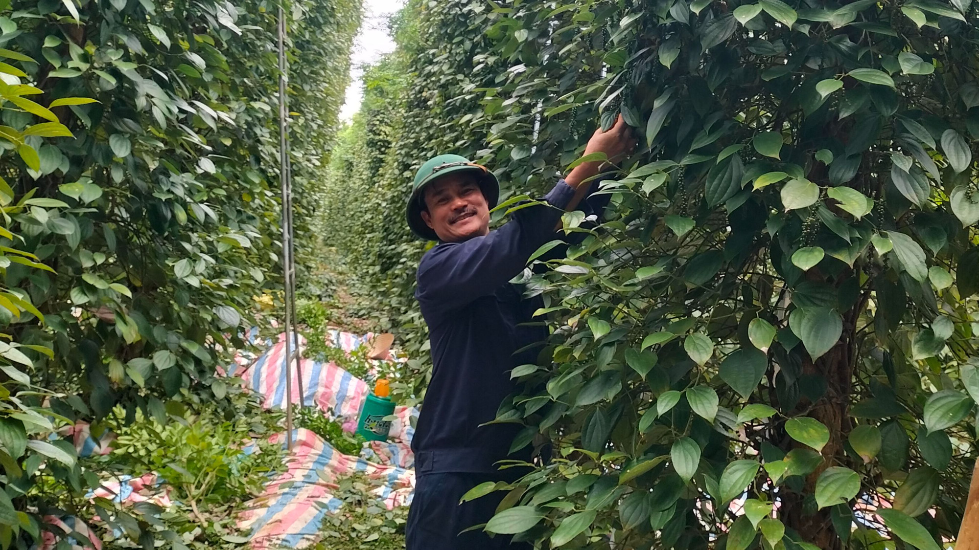 Cựu chiến binh Hoàng Hồng Sơn.