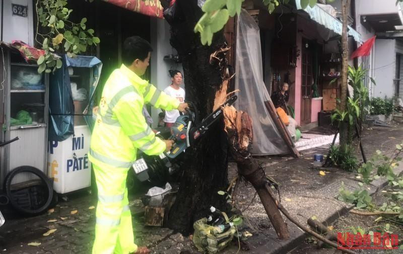 Lực lượng chức năng dọn dẹp hiện trường cây bị đổ. (Ảnh: CÔNG HẬU)