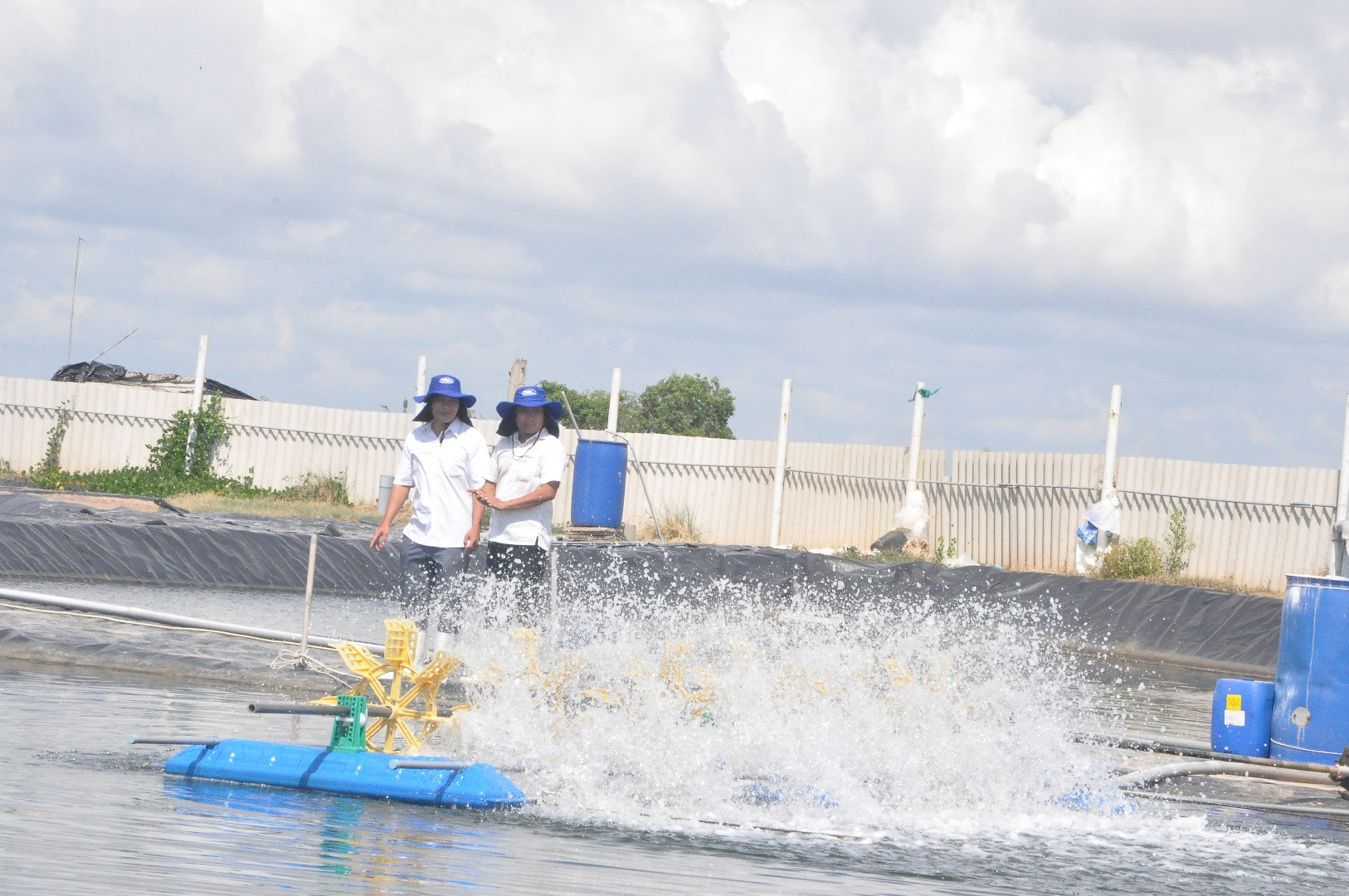Nuôi tôm công nghệ cao ở huyện Tân Phú Đông.