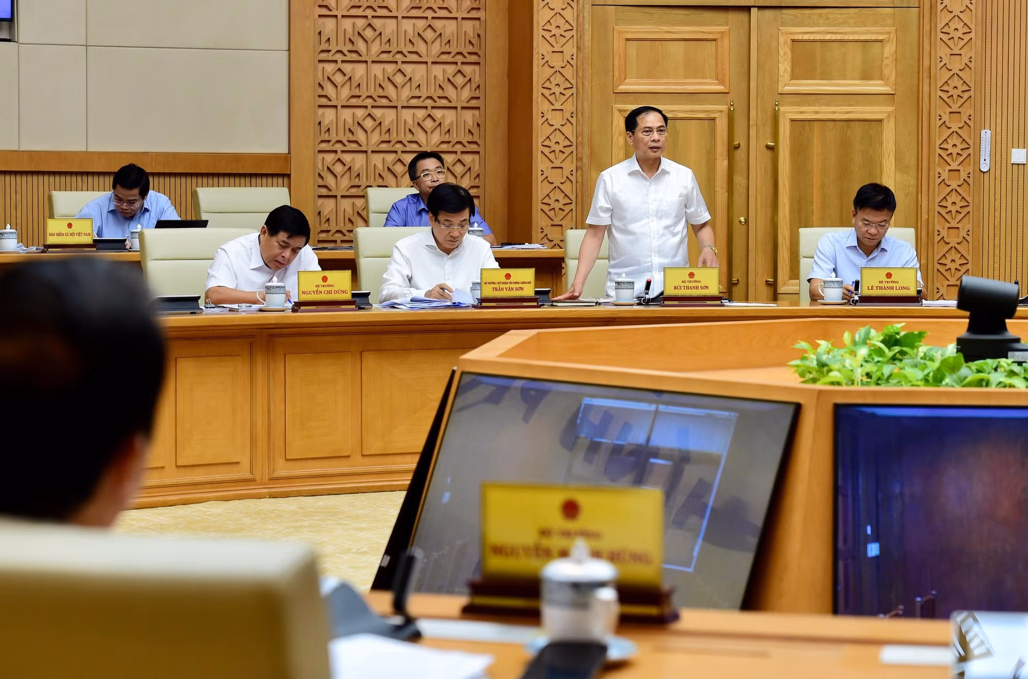 Bộ trưởng Ngoại giao Bùi Thanh Sơn phát biểu.