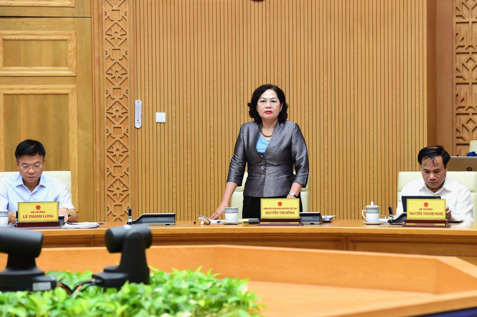 Thống đốc Ngân hàng Nhà nước Việt Nam Nguyễn Thị Hồng phát biểu.