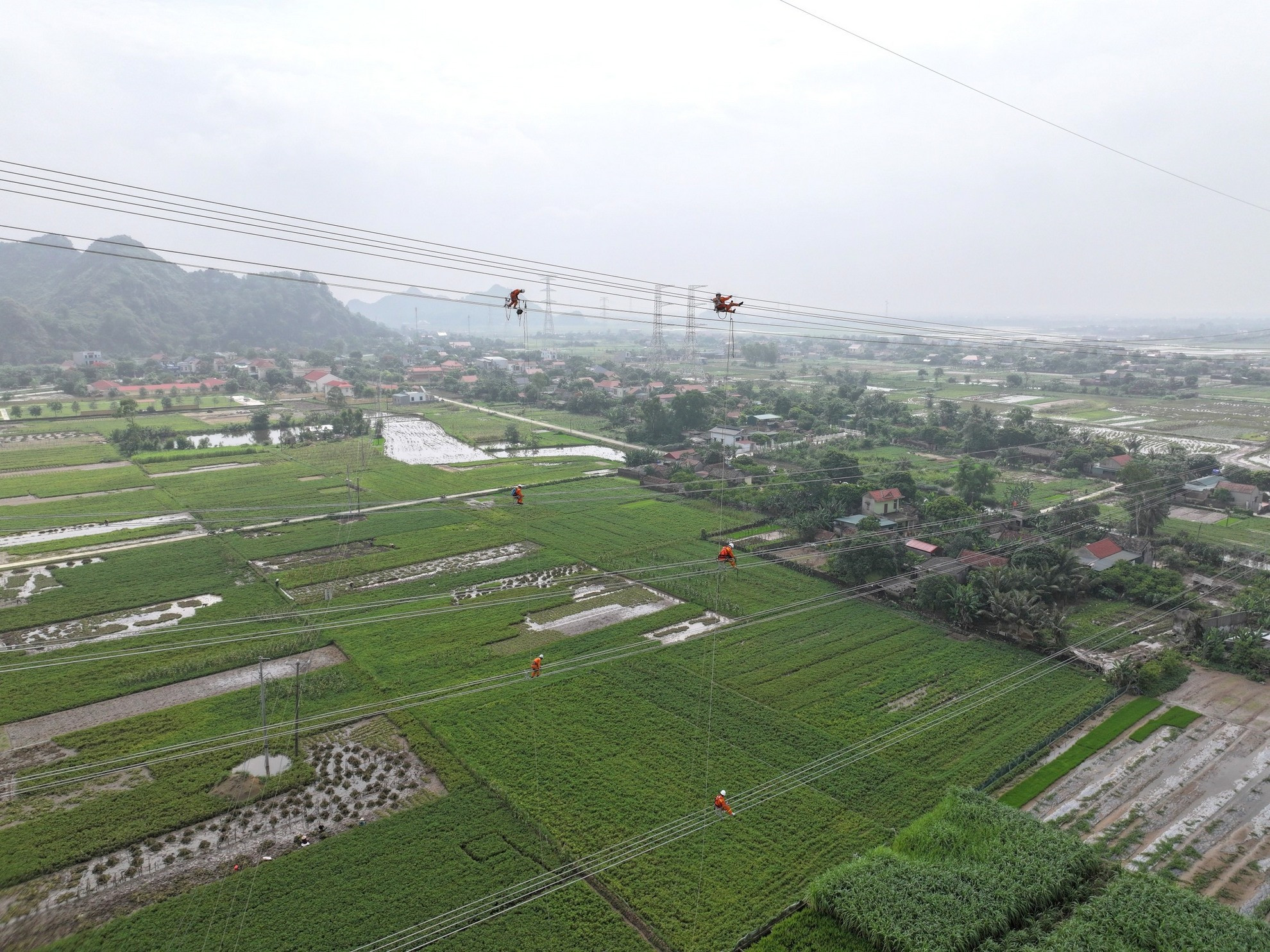 Các công nhân kỹ thuật cheo leo trên độ cao hàng chục mét.