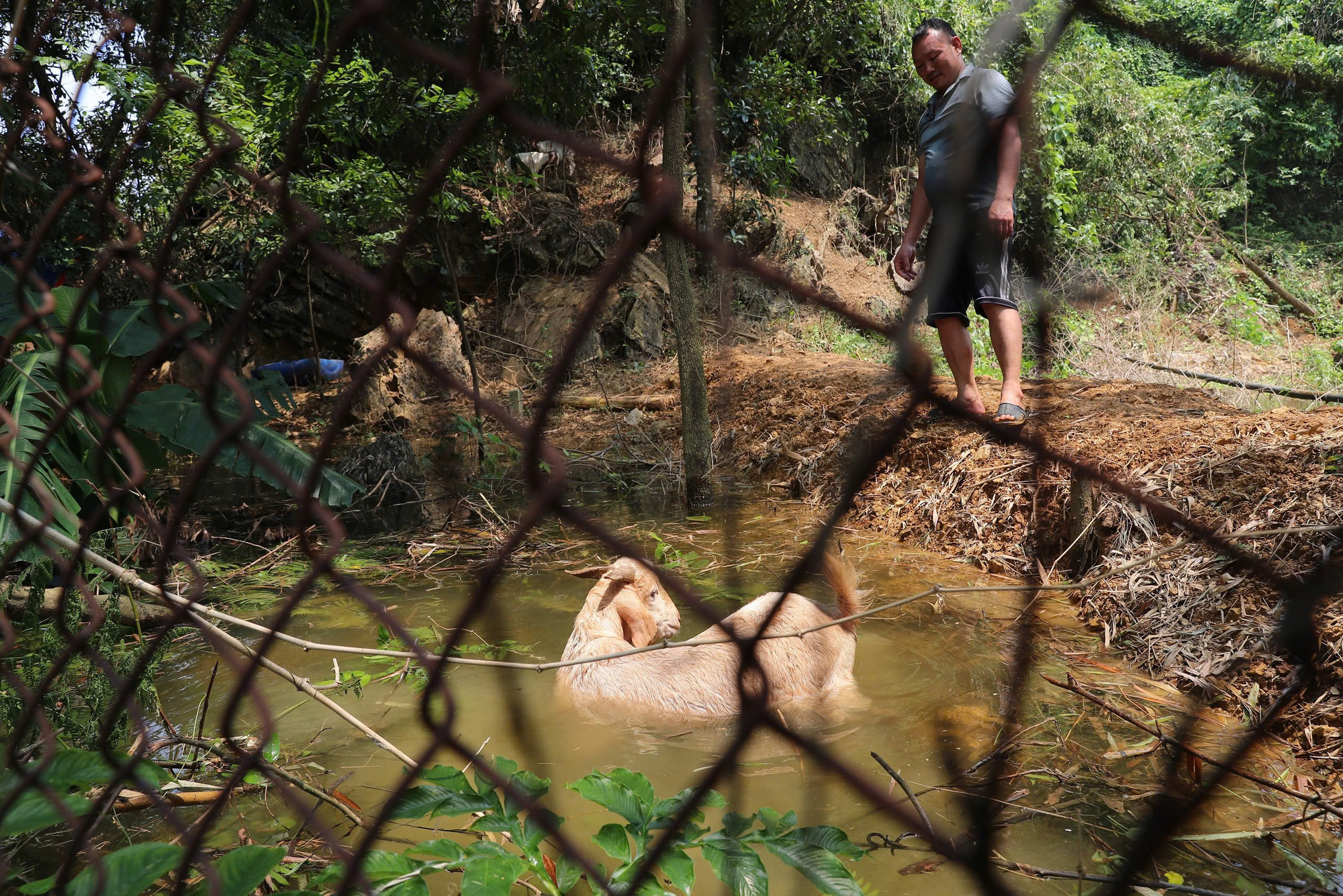 Nhiều nhà dân bị cô lập, người dân gặp nhiều khó khăn trong sinh hoạt và thiệt hại tài sản. Nhiều nhà dân bị cô lập, người dân gặp nhiều khó khăn trong sinh hoạt và thiệt hại tài sản.