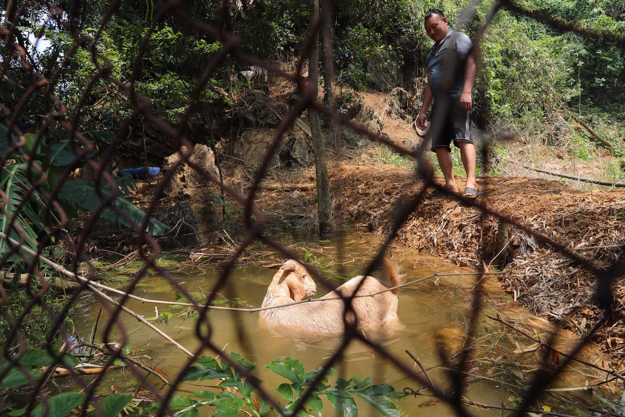 Nhiều nhà dân bị cô lập, người dân gặp nhiều khó khăn trong sinh hoạt và thiệt hại tài sản.
