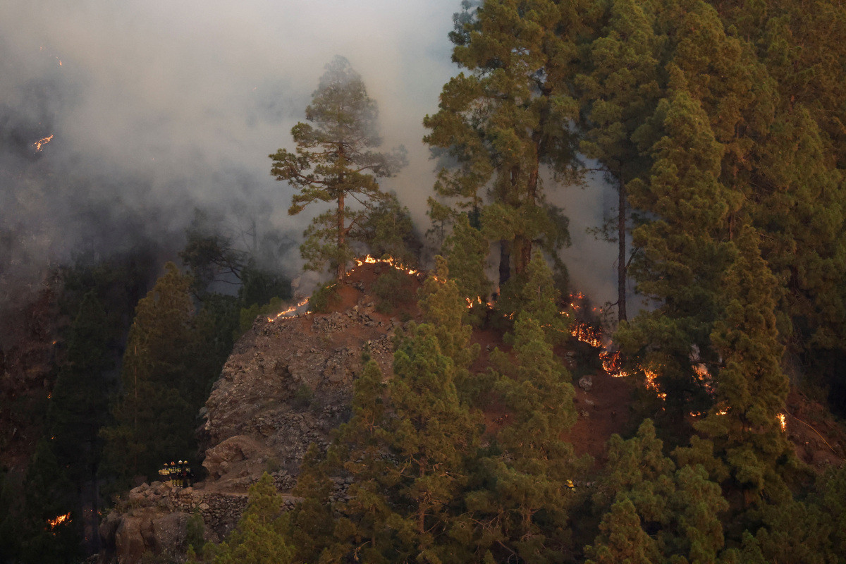 Lính cứu hỏa nỗ lực dập tắt đám cháy rừng Tijarafe trên đảo Canary, La Palma, Tây Ban Nha, ngày 17/7/2023. (Ảnh: Reuters)