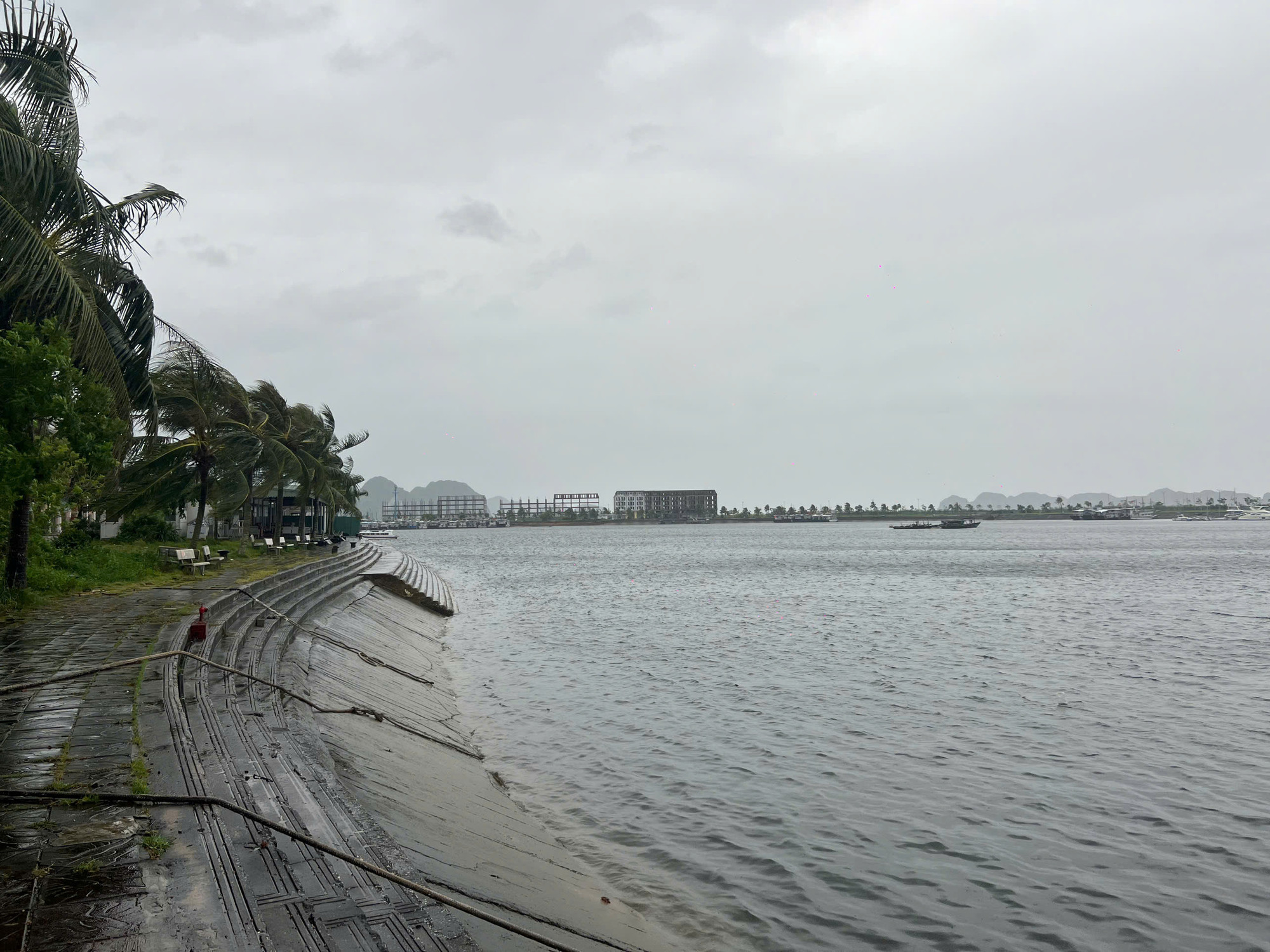 Trước đó, thực hiện công tác phòng, chống bão, tỉnh Quảng Ninh đã thành lập 7 đoàn công tác đi kiểm tra công tác chuẩn bị ứng phó bão số 3 trên địa bàn; phân công các đồng chí thành viên Ban Chỉ huy Phòng, chống thiên tai - Tìm kiếm cứu nạn và Phòng thủ dân sự tỉnh chủ động xuống cơ sở để chỉ đạo về công tác ứng phó với bão số 3.