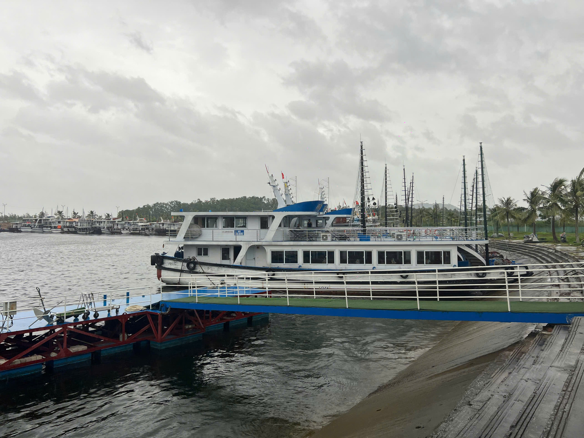 Các địa phương đã phân công các đồng chí lãnh đạo trực tiếp phụ trách từng địa bàn và thành lập 48 đoàn công tác xuống cơ sở để kiểm tra, chỉ đạo công tác phòng, chống tại địa phương.