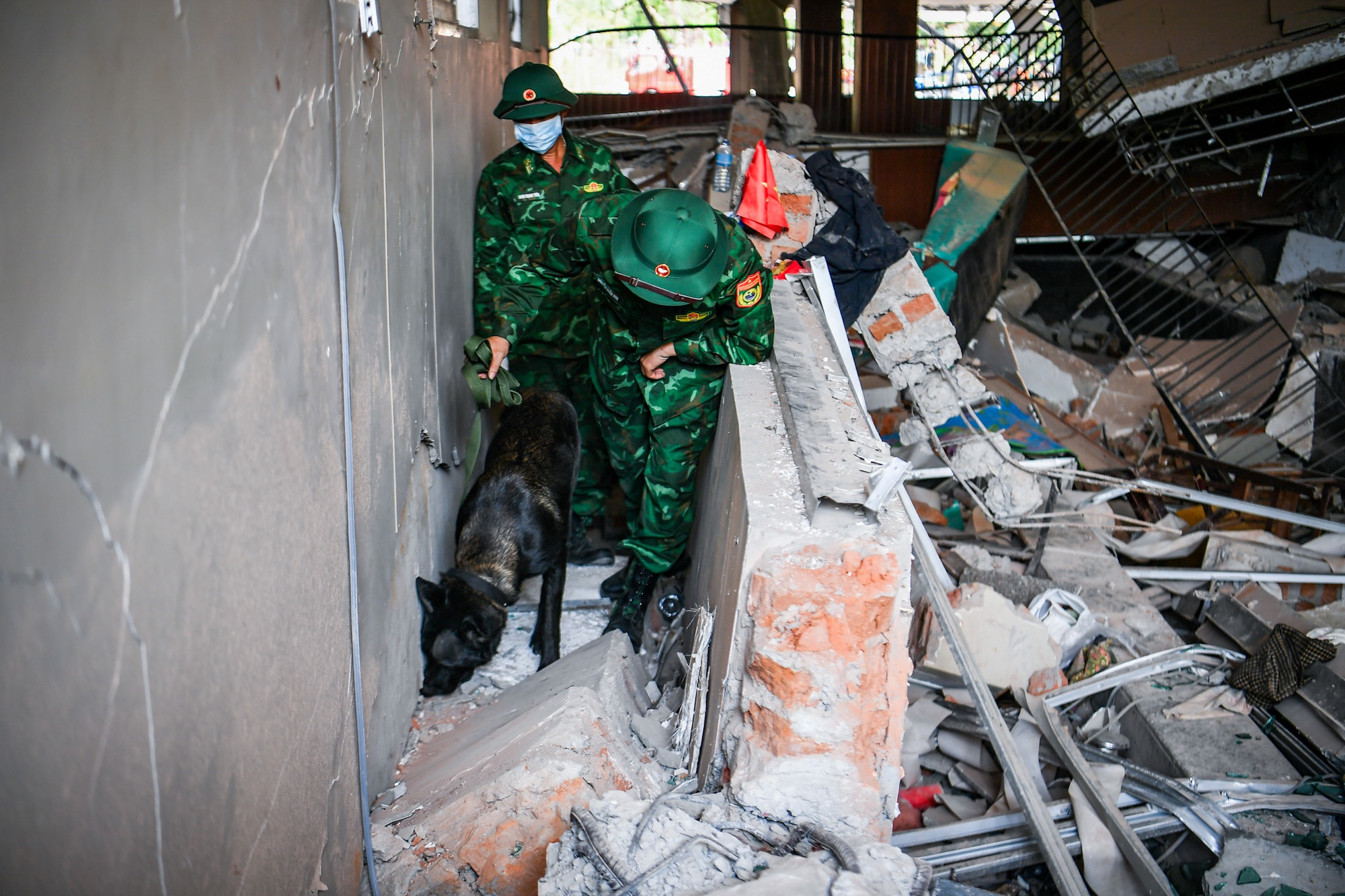 Để đẩy nhanh tốc độ tìm kiếm, lực lượng chó nghiệp vụ đã được huy động tới hiện trường.