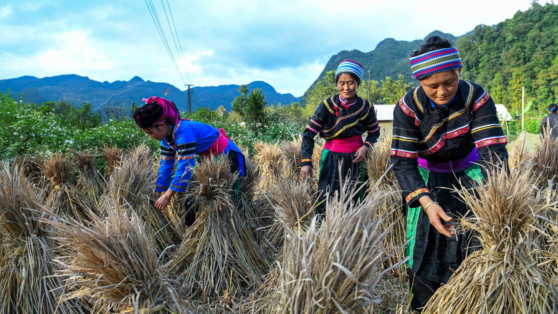Việt Nam nỗ lực triển khai và thực thi Công ước CERD, tăng cường sự thụ hưởng các quyền về mọi mặt của người dân tộc thiểu số. (Ảnh minh họa: THÀNH ĐẠT) 