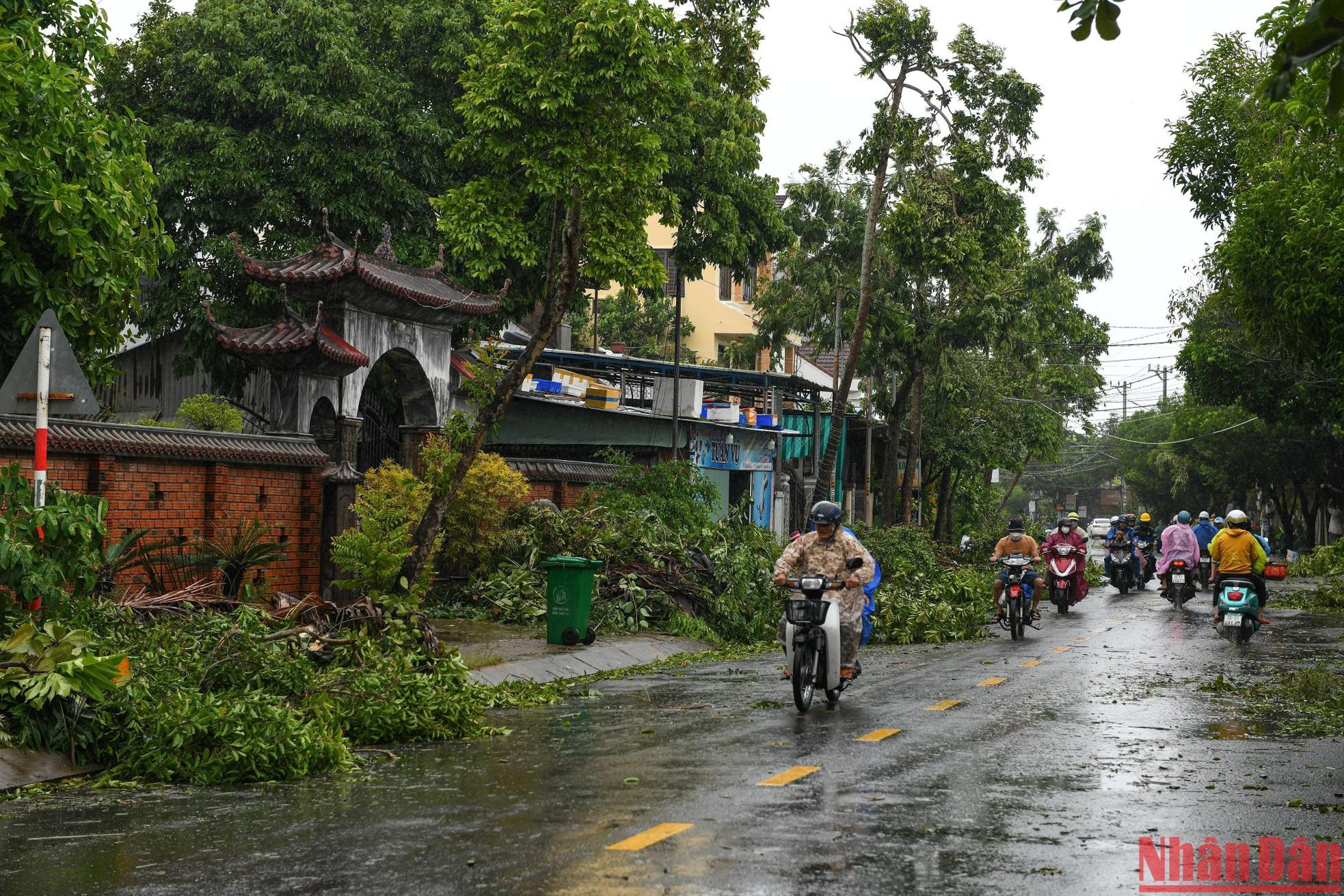 Đường Nguyễn Duy Hiệu, thành phố Hội An cây đổ hàng loạt sáng 28/9.