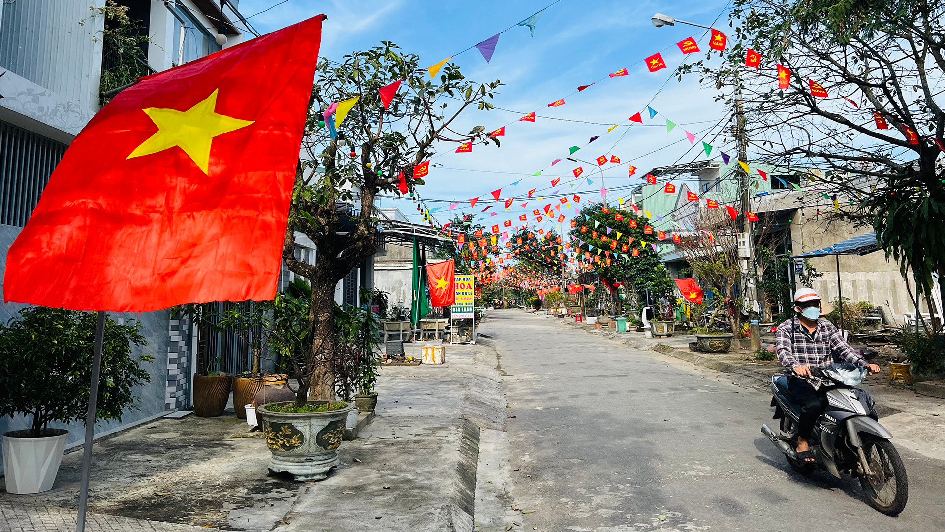 Tuyến đường Lê Trí Viễn (phường Hòa Hương) rực rỡ cờ hoa để chào đón năm mới.