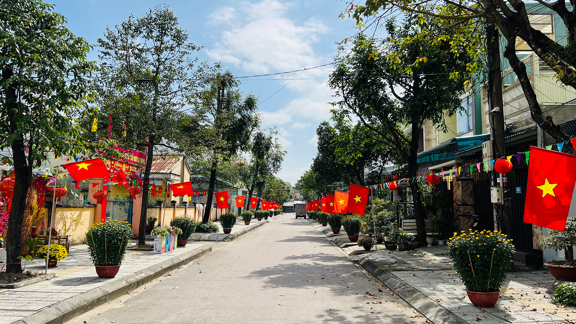 Tuyến đường Đinh Công Tráng (phường Hòa Hương) rực rỡ cờ hoa để chào đón năm mới.