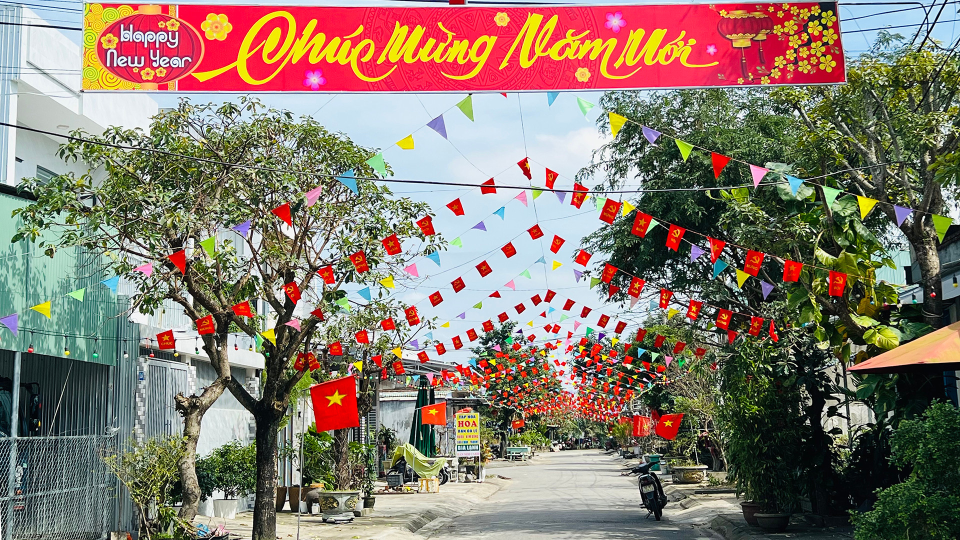 Tuyến đường Lê Trí Viễn (phường Hòa Hương) rực rỡ cờ hoa đón Tết.
