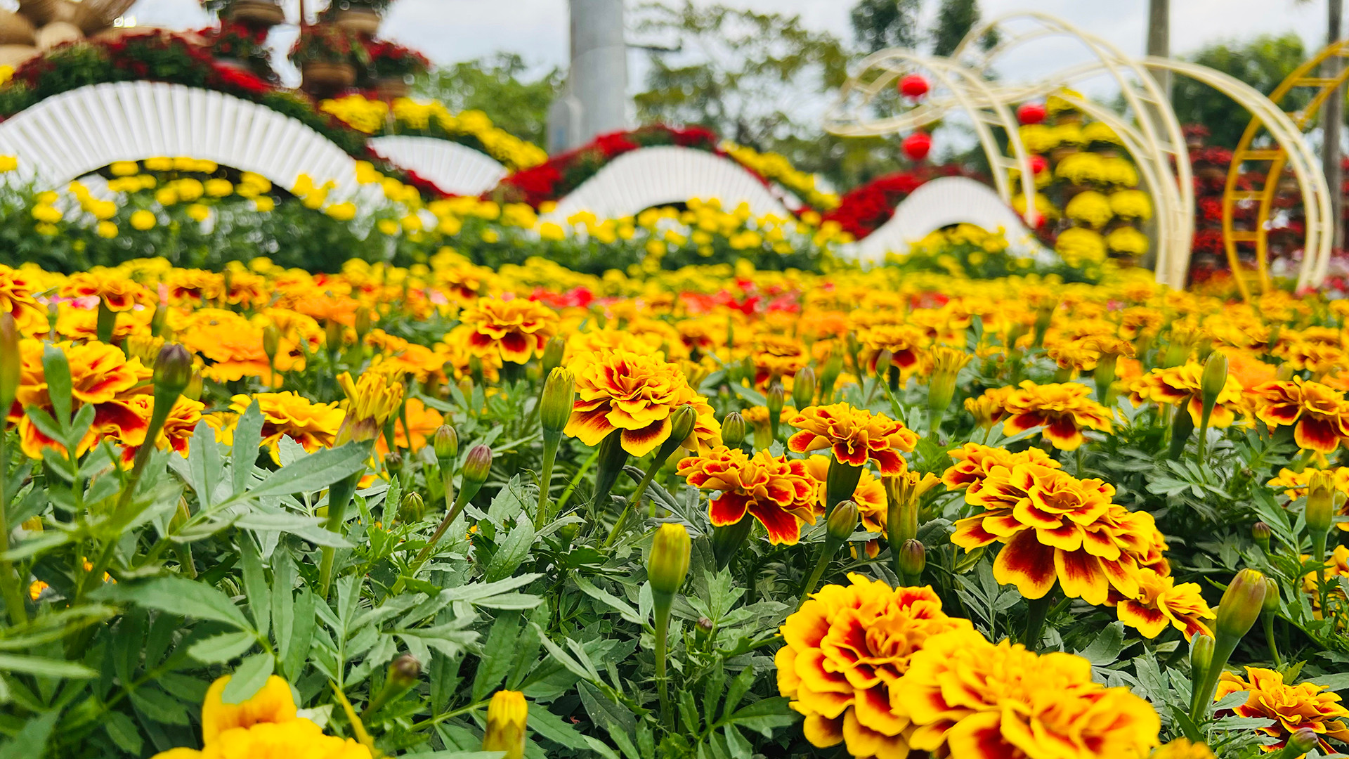 Quảng trường 24/3 với hàng ngàn sắc hoa rực rỡ được trang trí lộng lẫy dọc quanh khuôn viên.