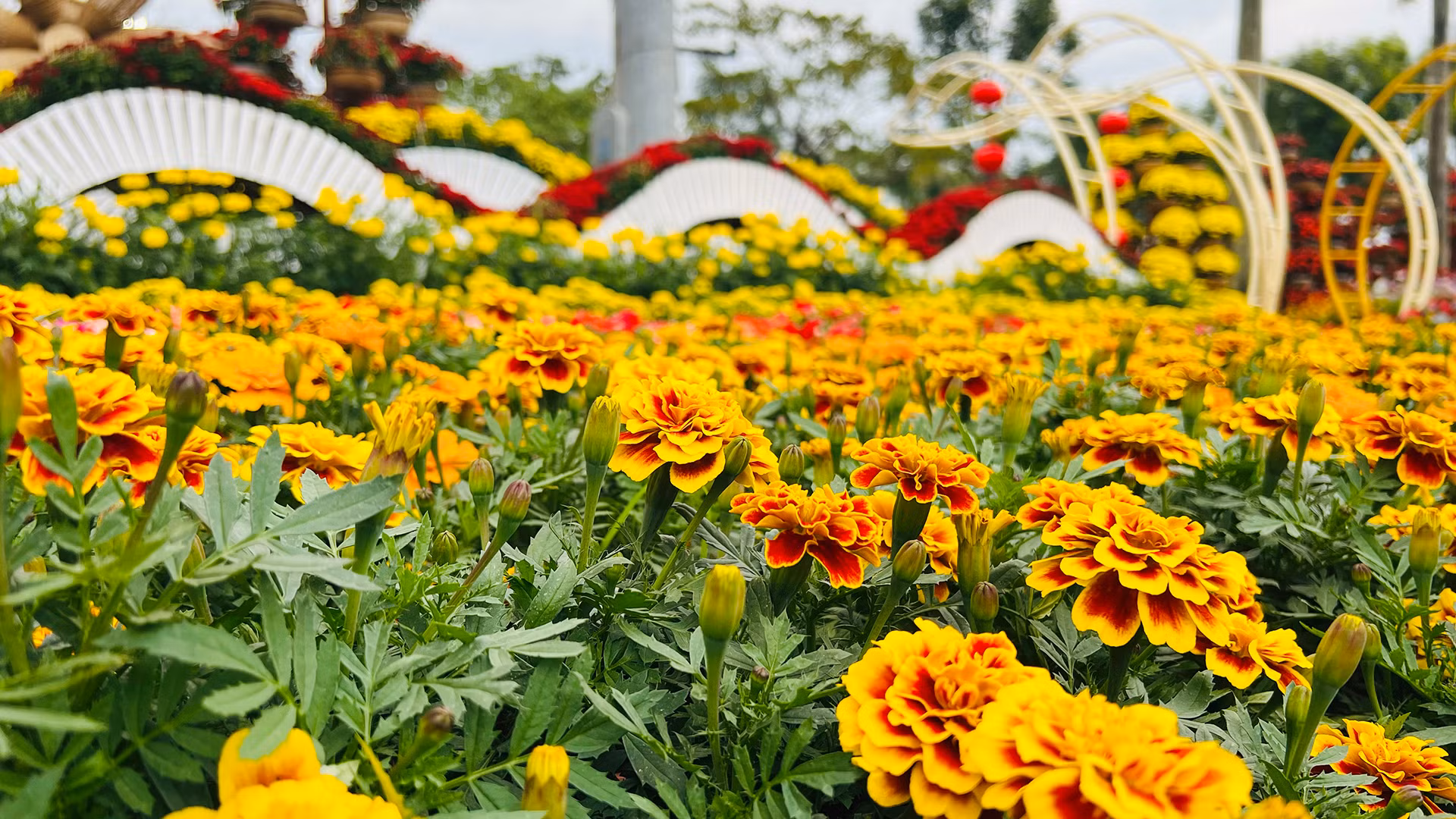 Quảng trường 24/3 với hàng ngàn sắc hoa rực rỡ được trang trí lộng lẫy dọc quanh khuôn viên.