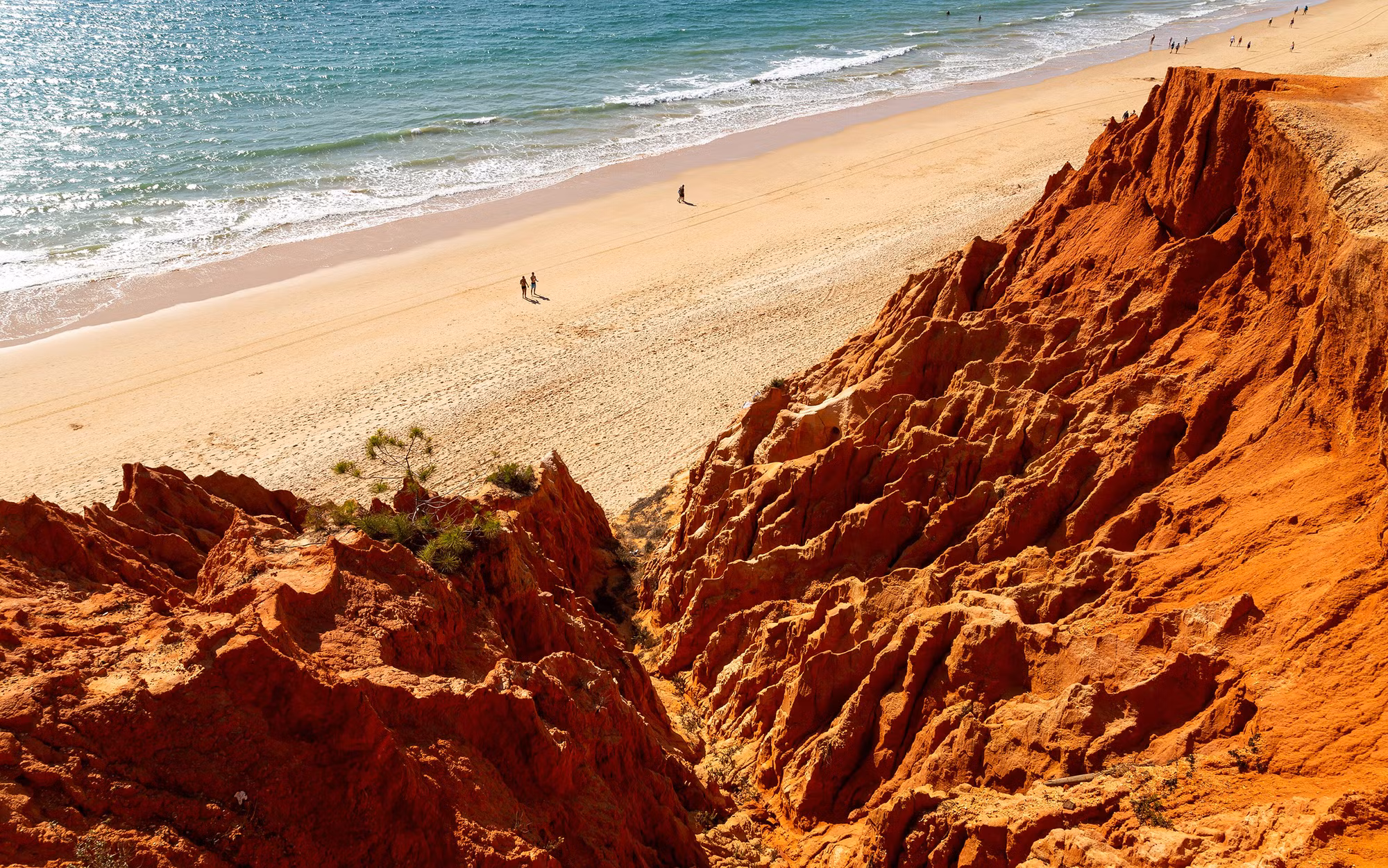 (Ảnh: Getty Images)